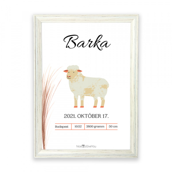 Babaposzter újszülötteknek - bárány